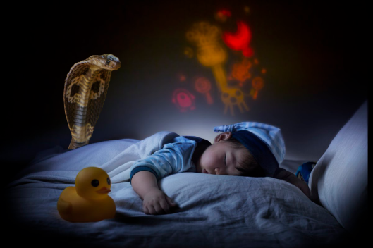 Sleeping Child_Cobra
